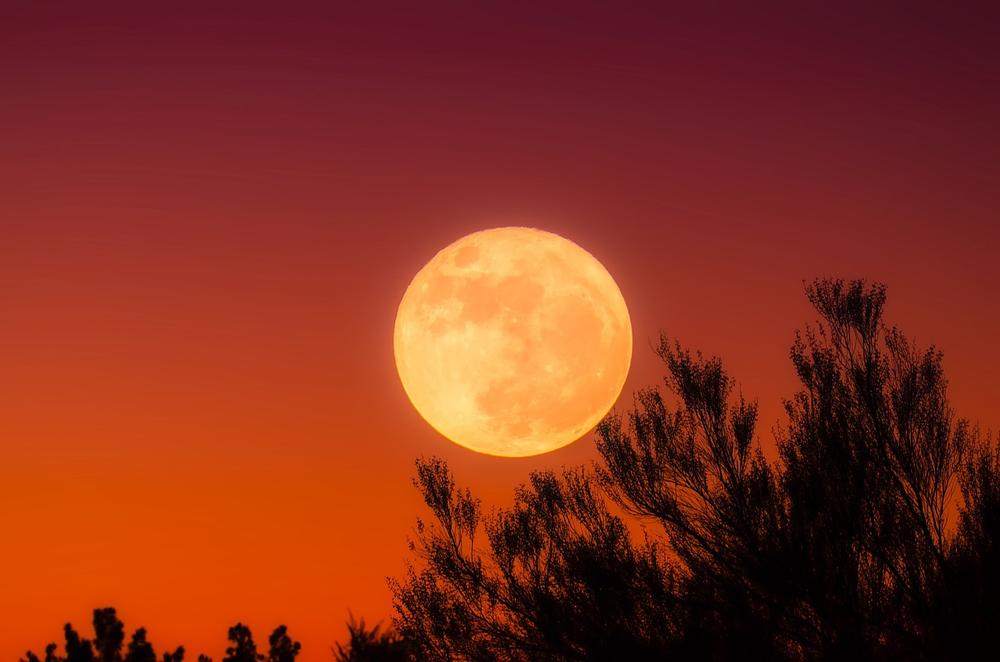 Spiritual Meaning of the Harvest Moon (Abundance!)