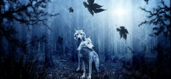 Wolf in Native American Spirituality