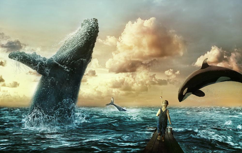 The Enchanting Symbolism of Whales in Literature
