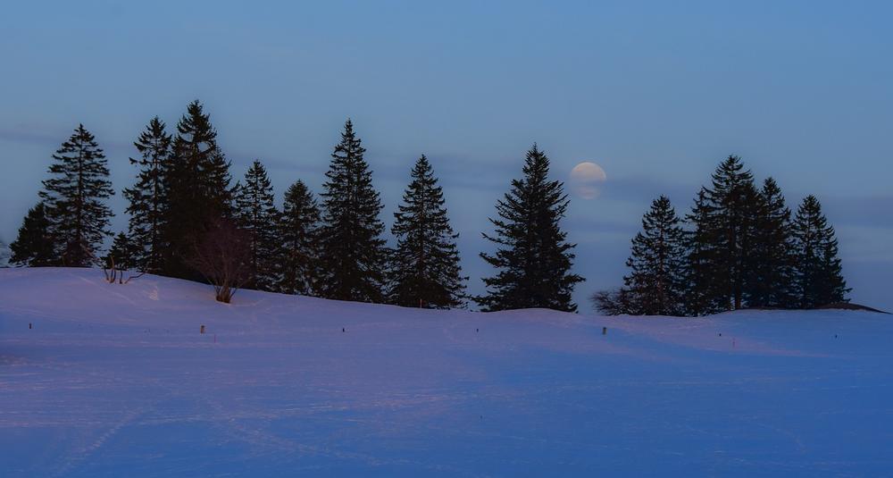 Full Moon Rituals and Manifestations to Try During the Snow Moon