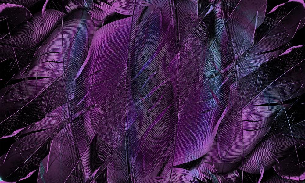 The Role of Feathers in Spirituality