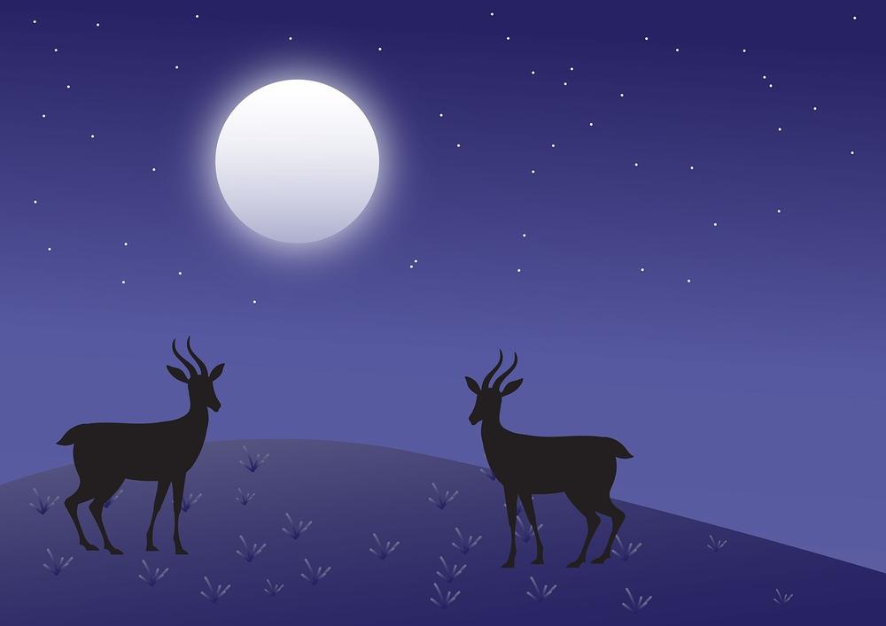 Buck Moon Meaning: Why Is It Called a Buck Moon?