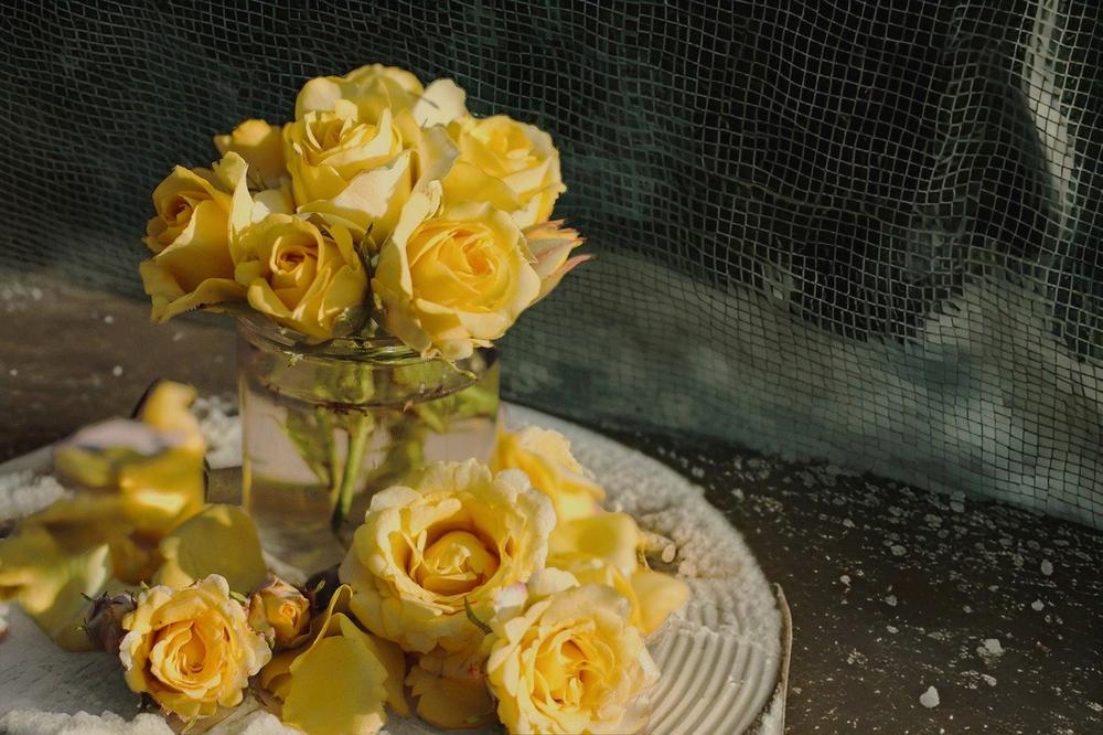 Yellow Roses in Different Occasions and Celebrations