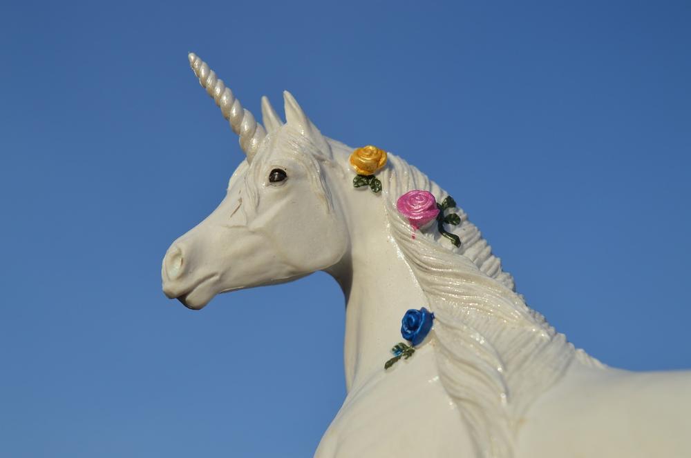 Symbolism of the Horse With Crown