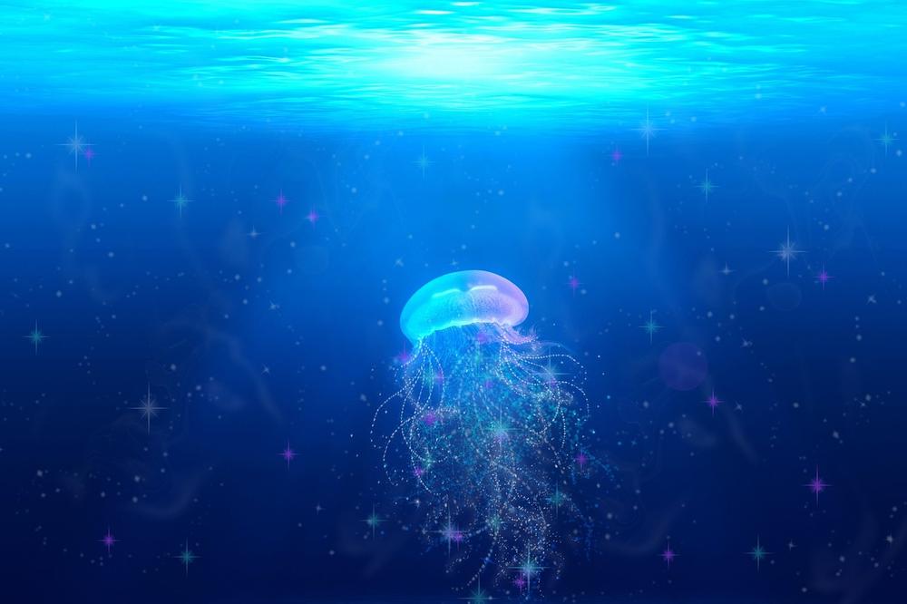 The Profound Symbolism of Jellyfish