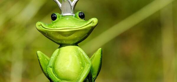 What Do Frogs Mean Spiritually