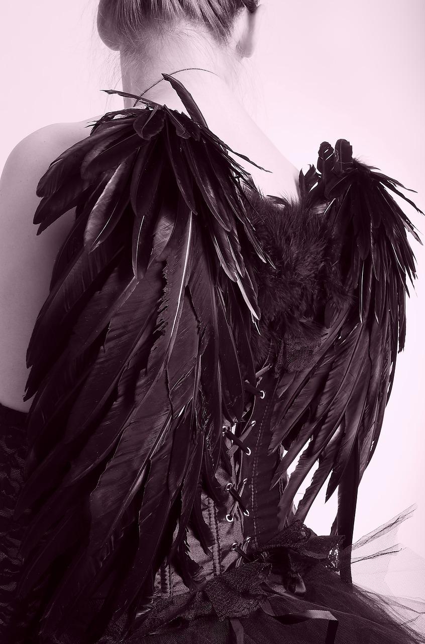 The Mythical and Mystical Associations of Black Feathers