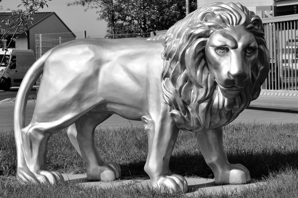 Unleashing the Lion Within: Empowerment and Fearlessness