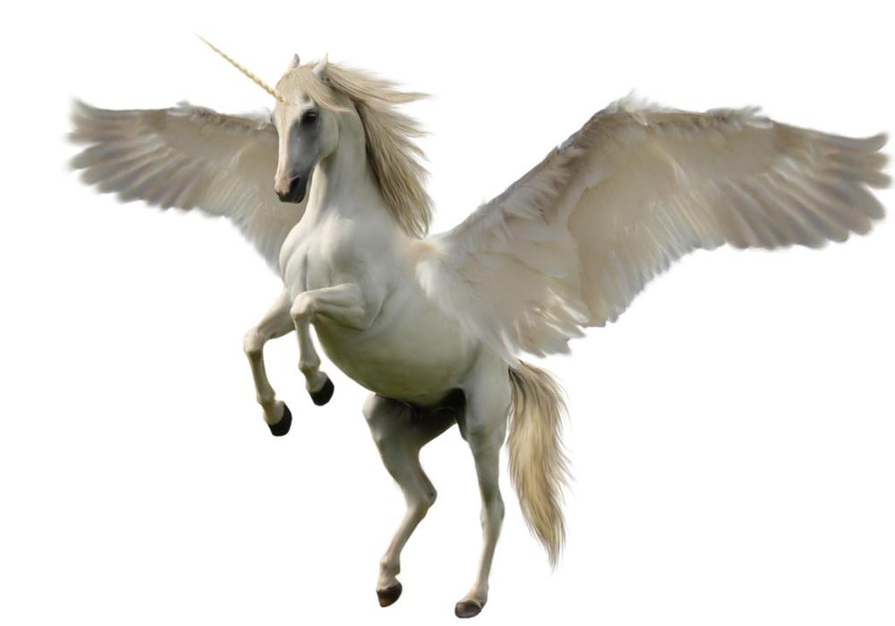 The Spiritual Significance of Flying Horses in Dreams