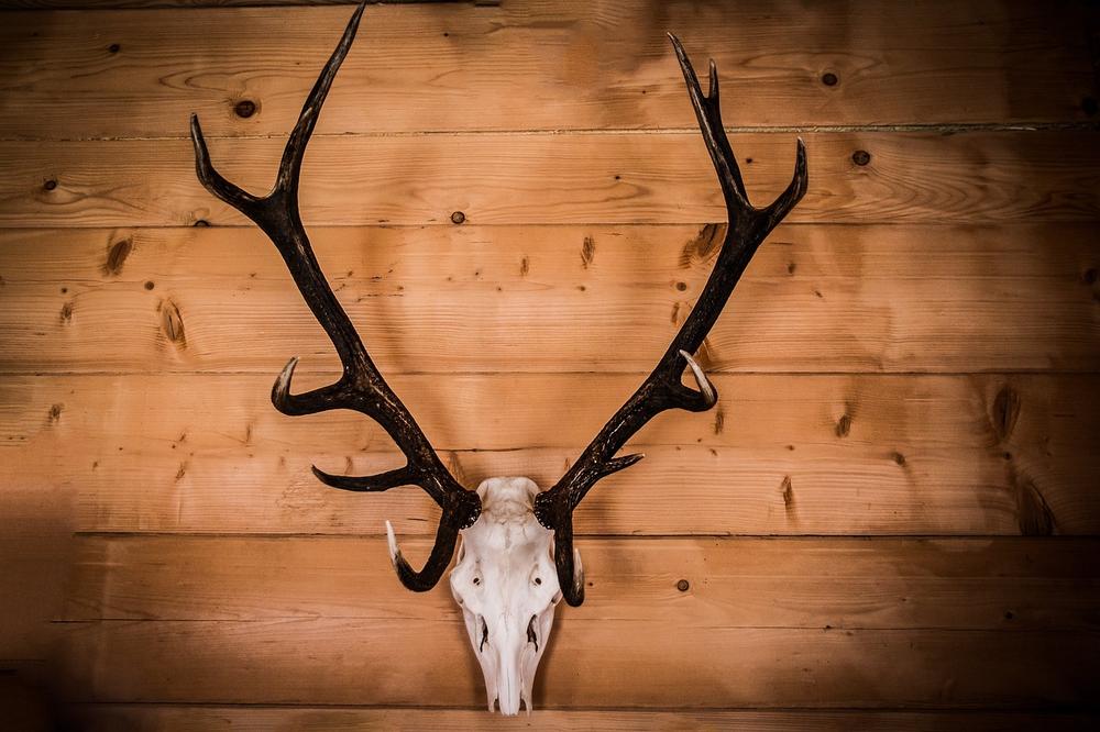 Incorporating Deer Skull Symbolism in Your Spiritual Practice