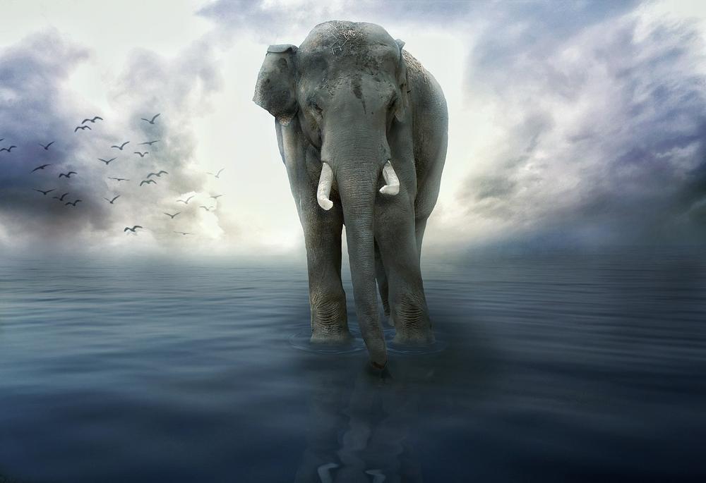 Exploring the Transformative Energy of the Blue Elephant
