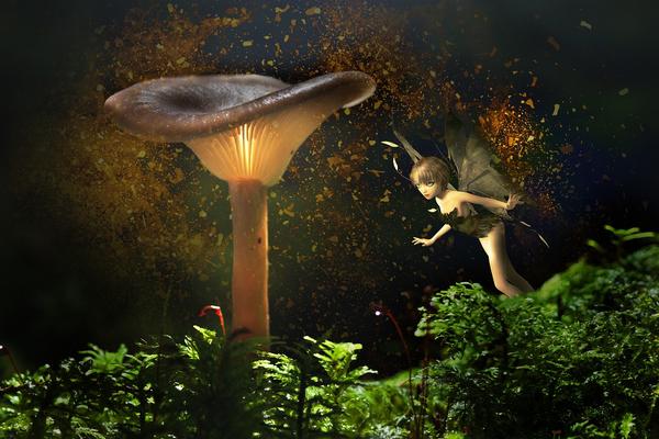 What Is the Spiritual Meaning of Seeing Fairies