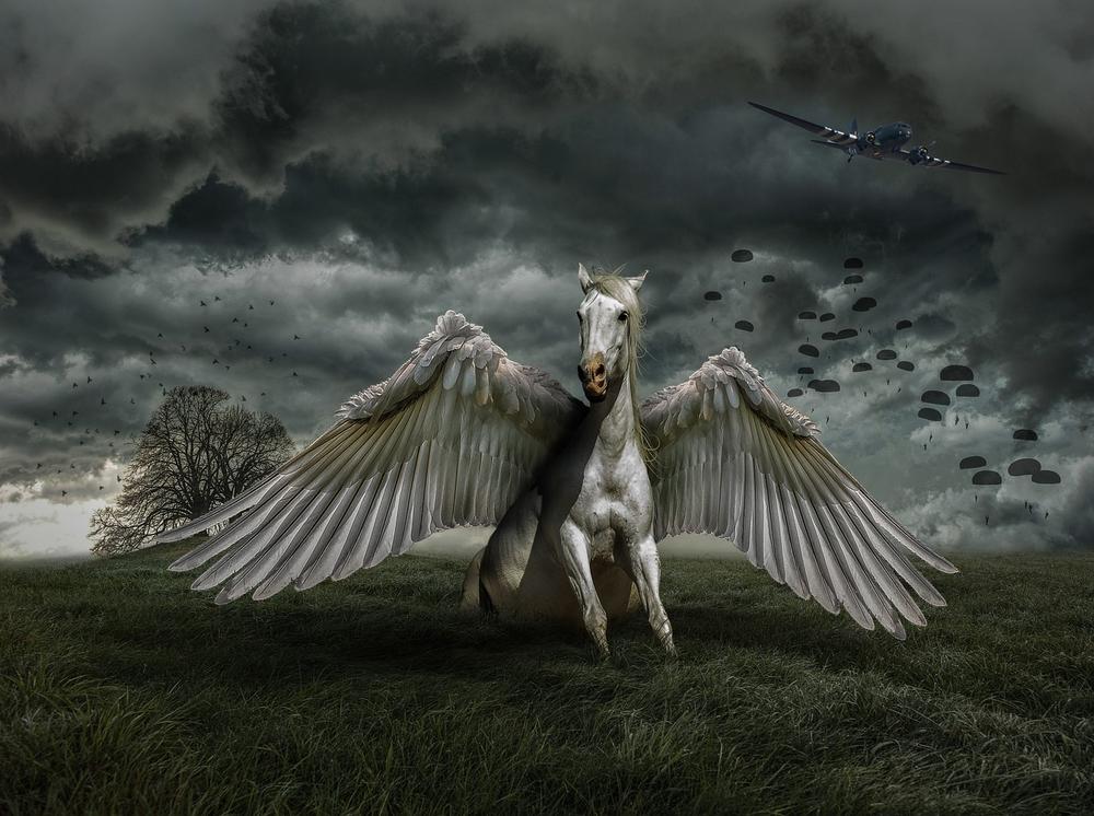 Interpreting Dreams of Flying Horses