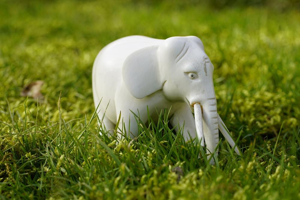 Symbolic Significance of Elephants as Spirit Animals