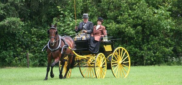 Horse and Carriage Spiritual Meaning