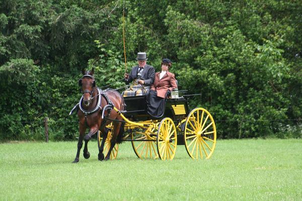 Horse and Carriage Spiritual Meaning & Symbolism