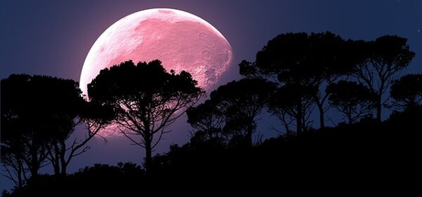 Pink Moon Meaning and Spiritual Symbolism