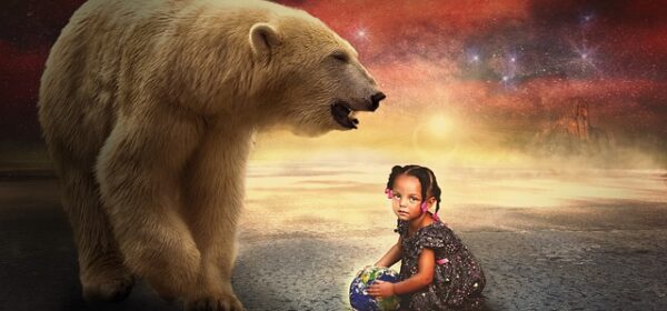 Bear Dreams in Spiritual Awakening